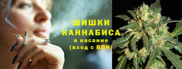 стаф Осташков
