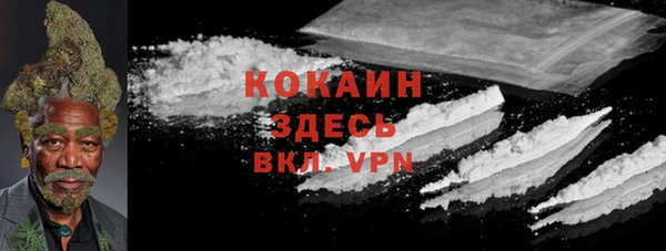стаф Осташков
