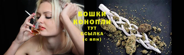стаф Осташков