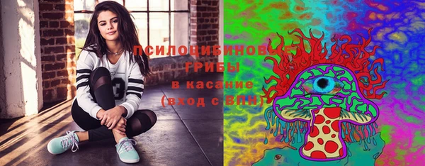 стаф Осташков