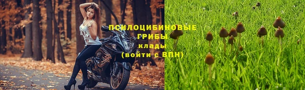 гидропоника Осинники