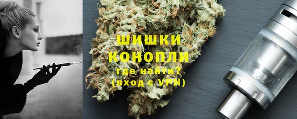 стаф Осташков