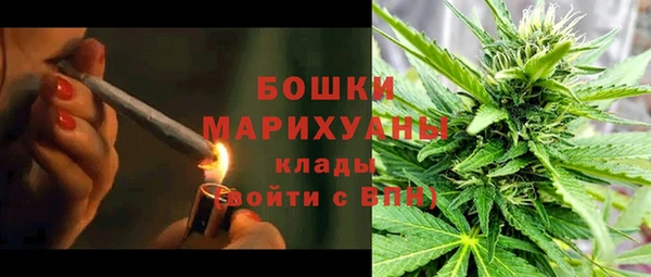 гидропоника Осинники