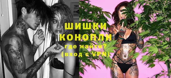 стаф Осташков