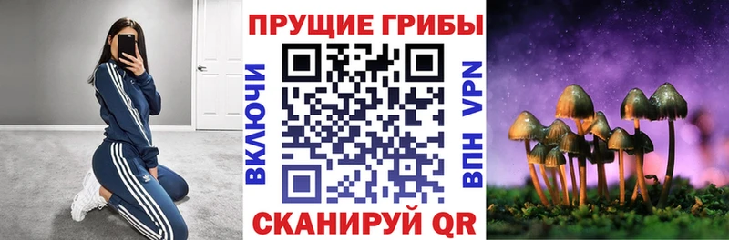 Галлюциногенные грибы Psilocybine cubensis  Ардон 