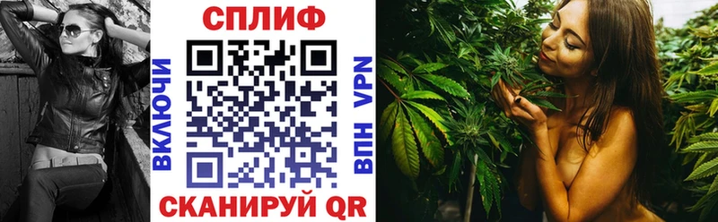 Бошки Шишки сатива  Ардон 
